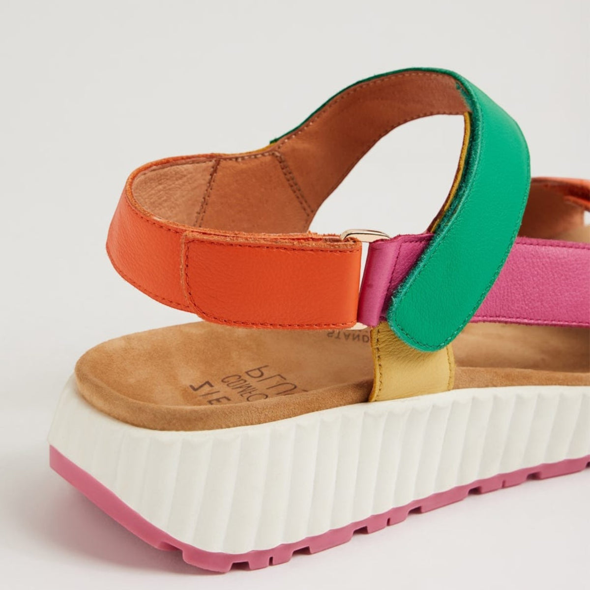 ZIERA LOMAR BRIGHT MULTI