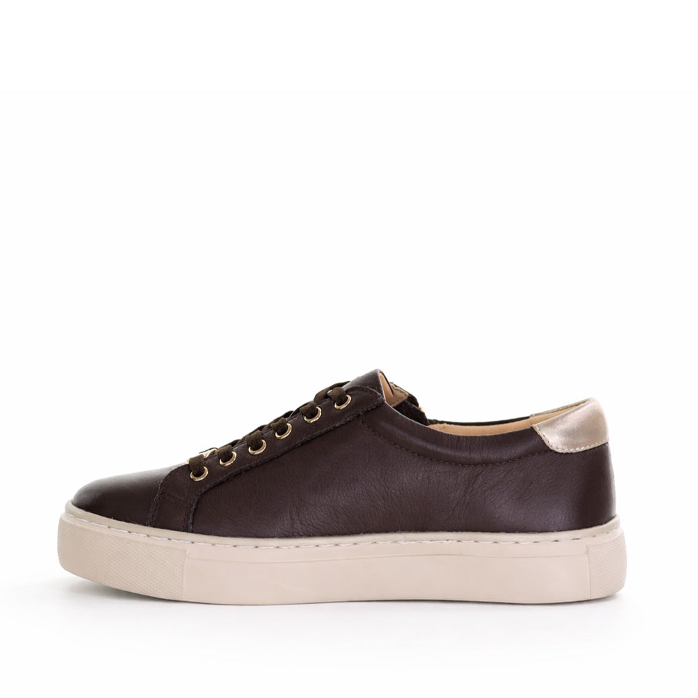 ZIERA PAMELA CHOC CHAMPAGNE - Women sneakers - Collective Shoes 