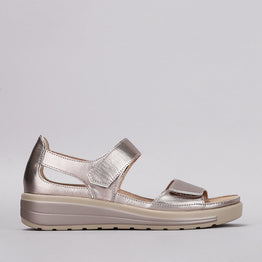 NAKED ARCHES HAPPY CHAMPAGNE