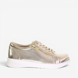 champagne