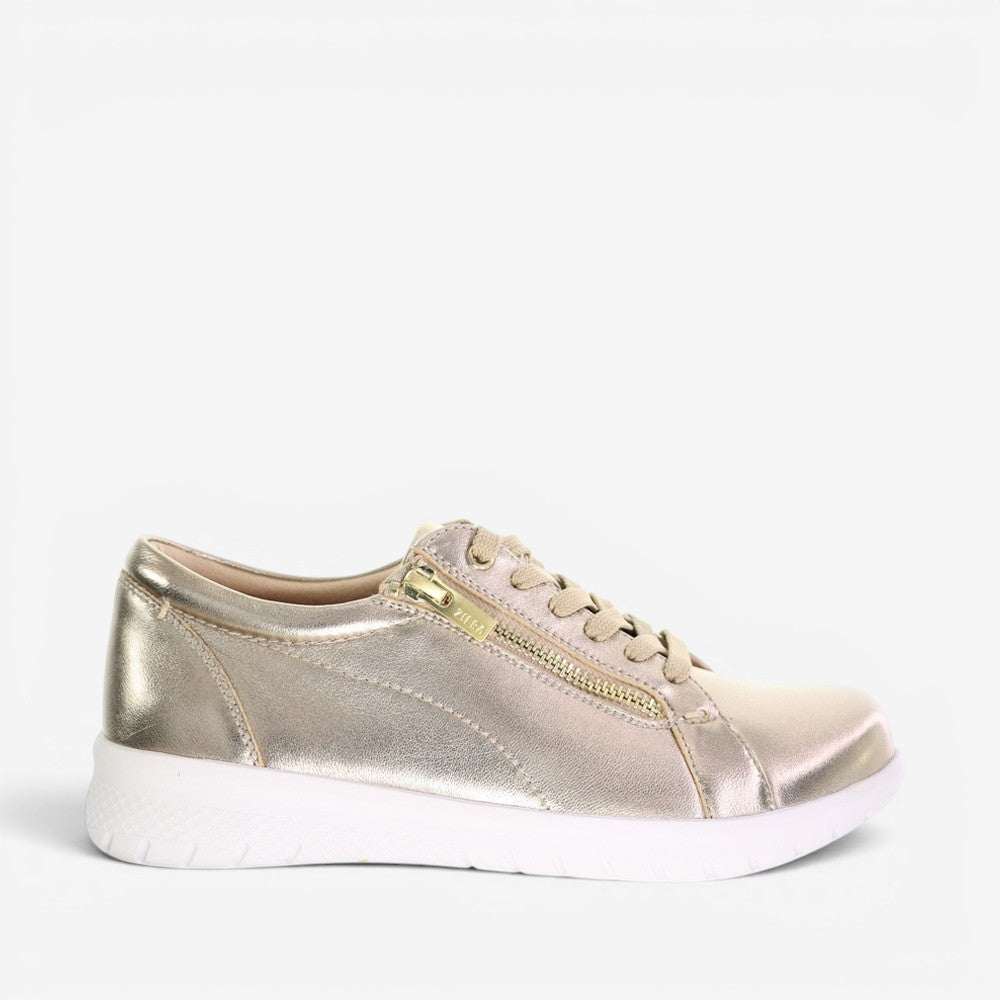 ZIERA SOLAR CHAMPAGNE