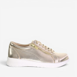 ZIERA SOLAR CHAMPAGNE