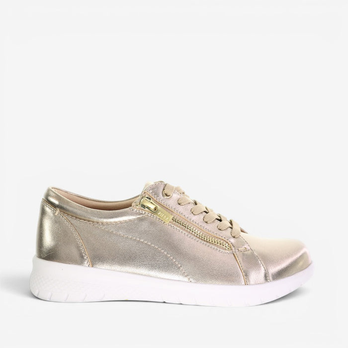ZIERA SOLAR CHAMPAGNE