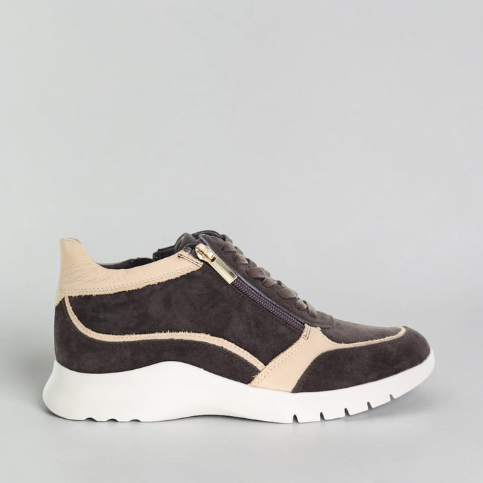 ZIERA PELLS CHOC CAMEL - Women Sneakers - Collective Shoes 