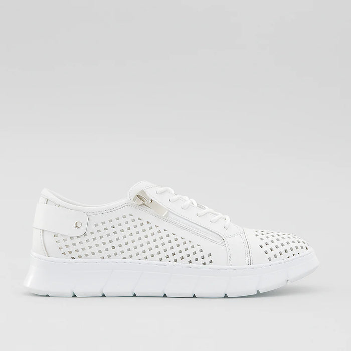 CABELLO EG172 WHITE - Women Sneakers - Collective Shoes 