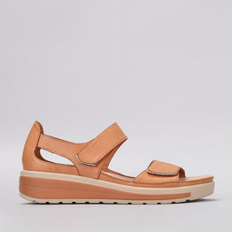 NAKED ARCHES HAPPY TAN