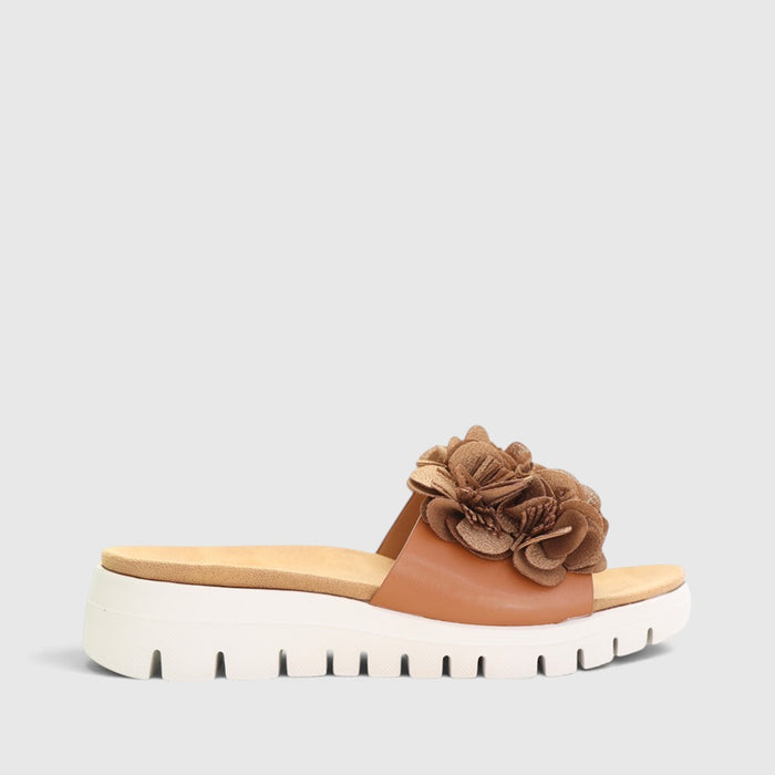 CC RESORTS DOMO TAN