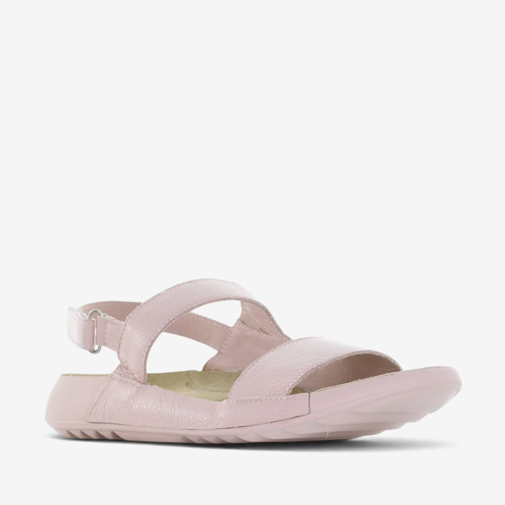 ZIERA YOCCO ROSE