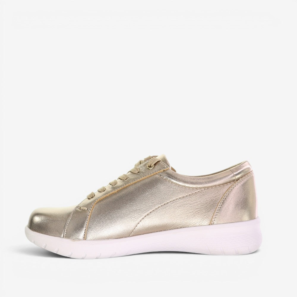 ZIERA SOLAR CHAMPAGNE