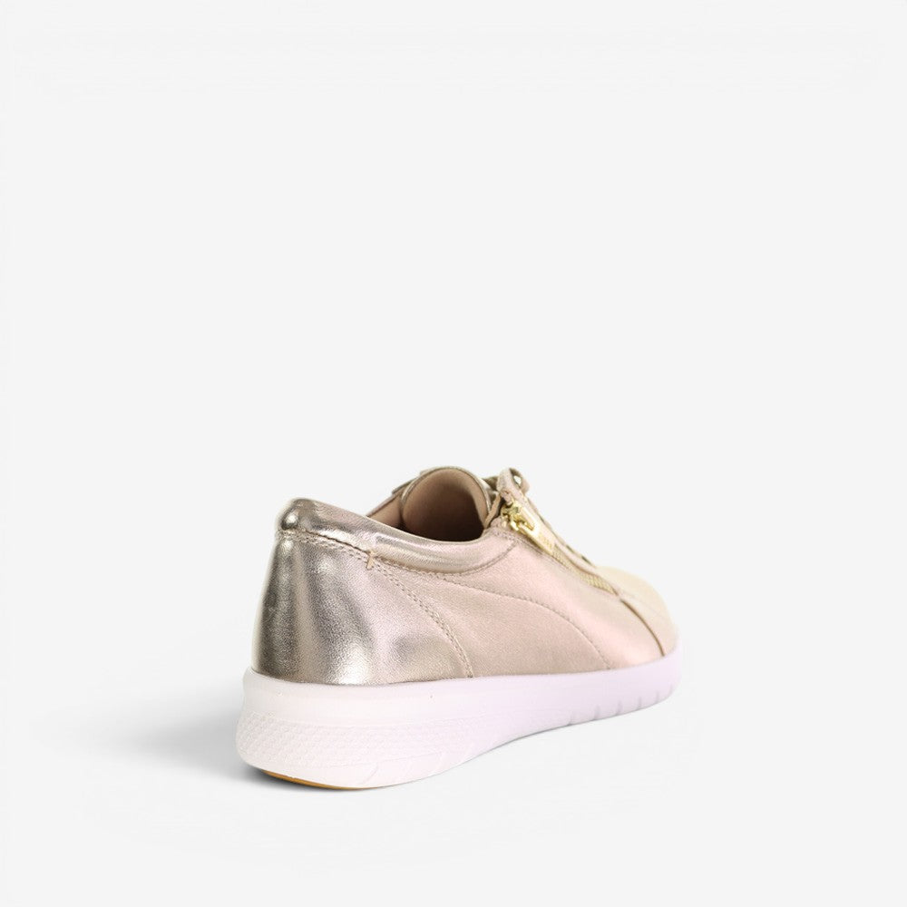 ZIERA SOLAR CHAMPAGNE