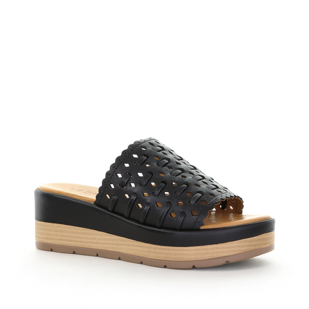 LE SANSA RUSSIA BLACK - Women Slides - Collective Shoes 