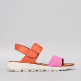HOT PINK / ORANGE