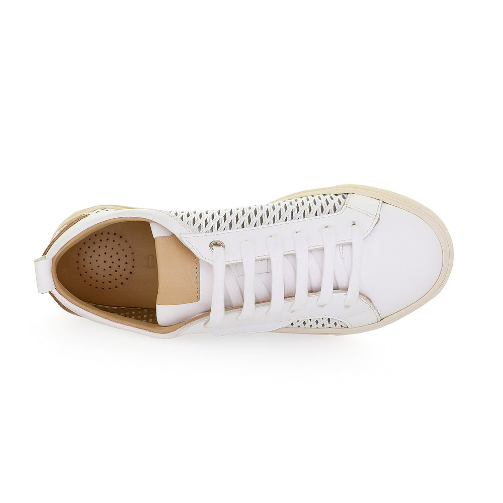 LE SANSA RONDA WHITE - Women Sneakers - Collective Shoes 