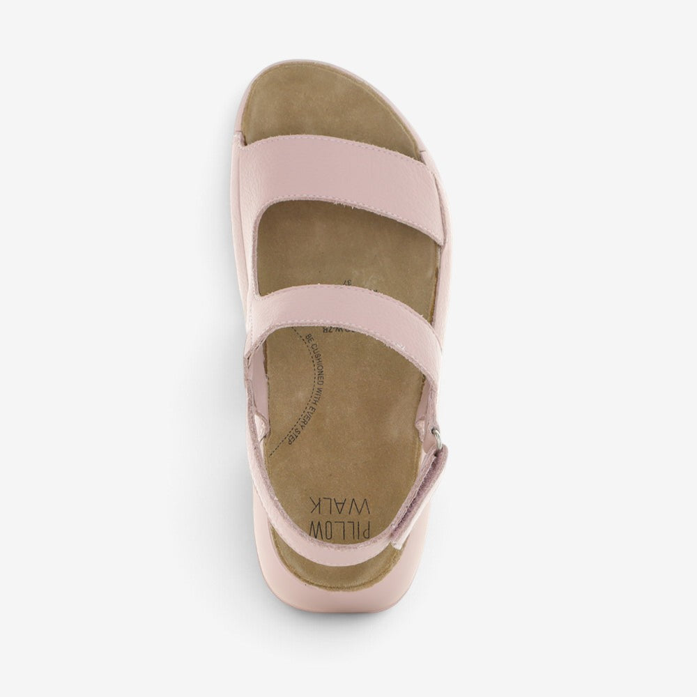 ZIERA YOCCO ROSE