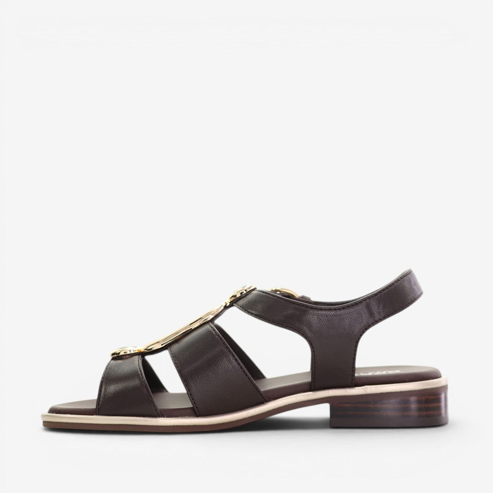 BRESLEY SPROCKET CHOCOLATE