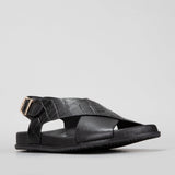 BLACK CROC