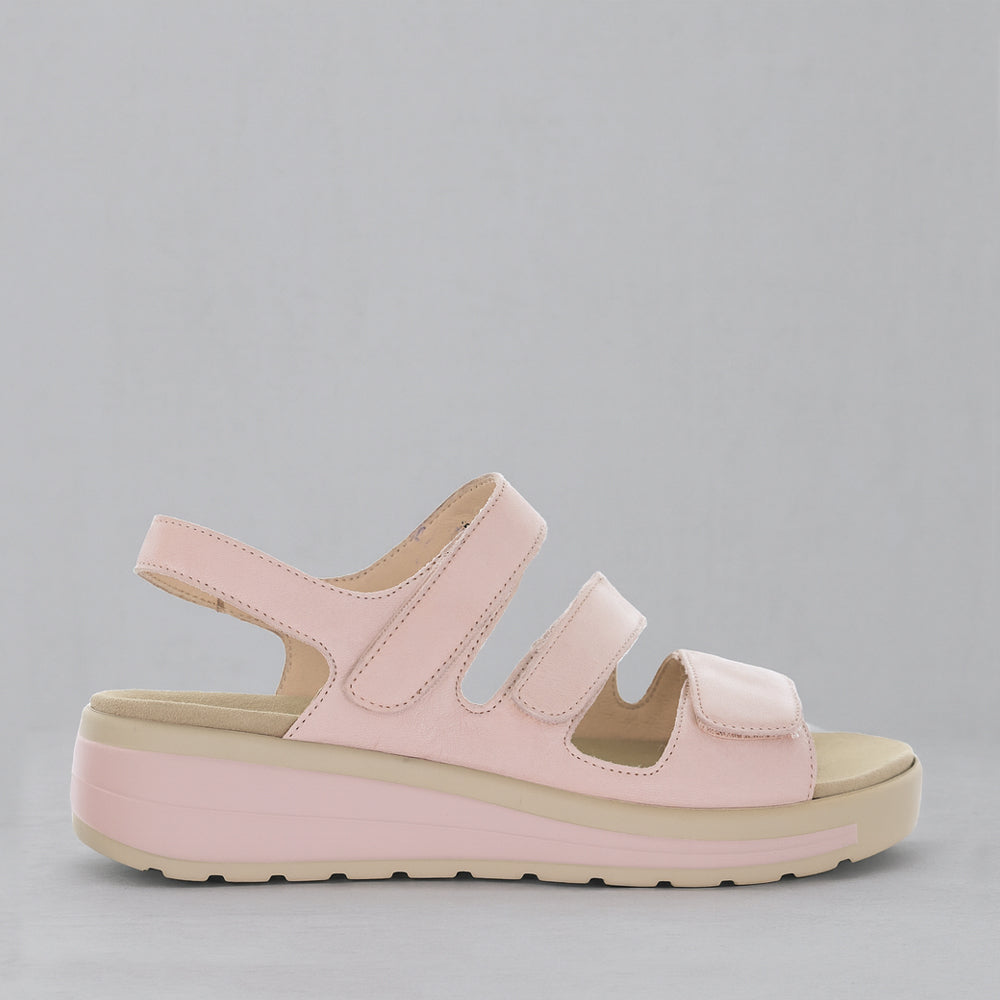 NAKED ARCHES HOLIDAY BLUSH