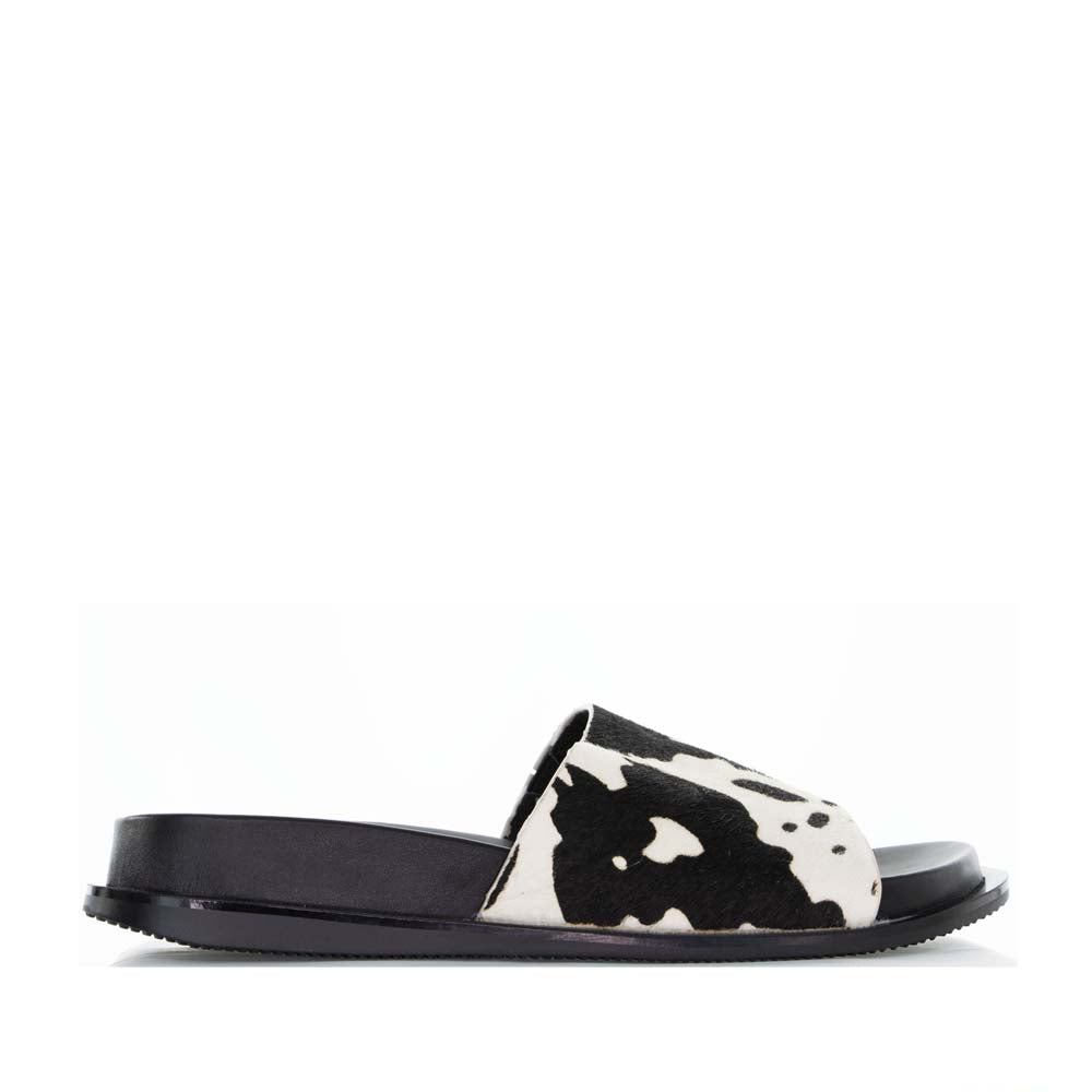 BRESLEY AVENGE FERSIAN - Women Flats - Collective Shoes 