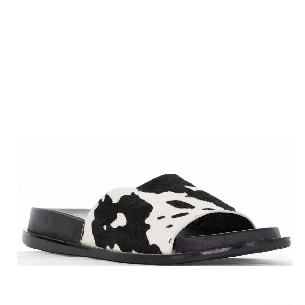 BRESLEY AVENGE FERSIAN - Women Flats - Collective Shoes 