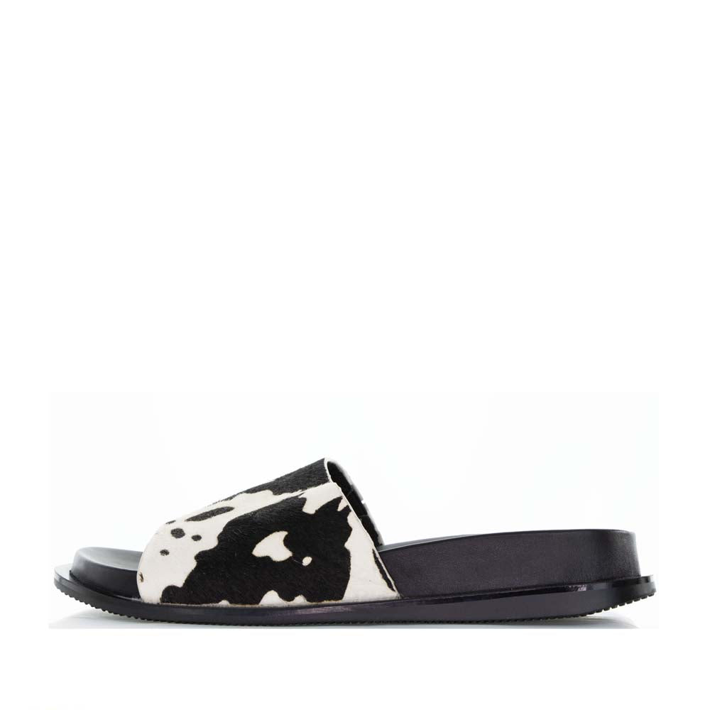 BRESLEY AVENGE FERSIAN - Women Flats - Collective Shoes 