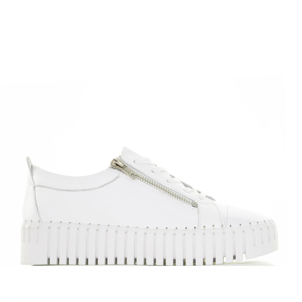 DJANGO & JULIETTE BUCKLEY WHITE - Women Sneakers - Collective Shoes 