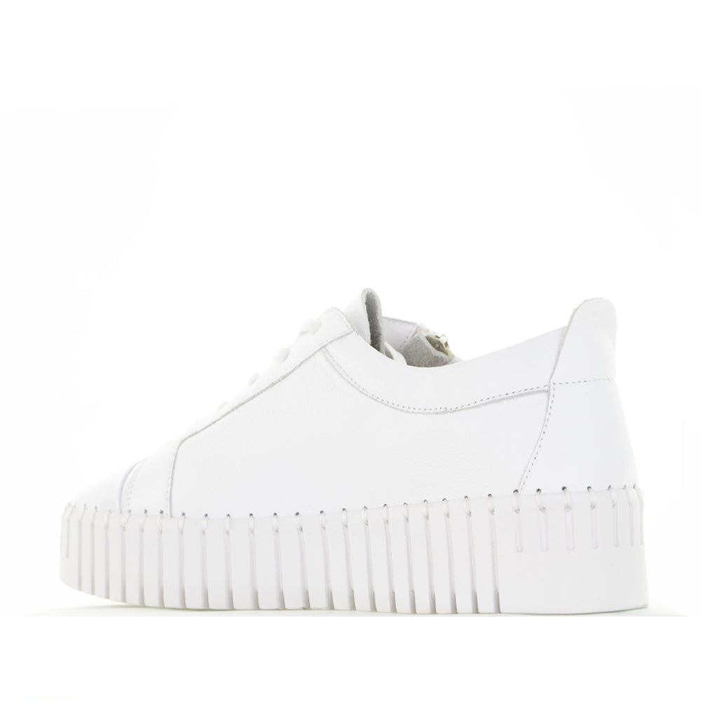 DJANGO & JULIETTE BUCKLEY WHITE - Women Sneakers - Collective Shoes 