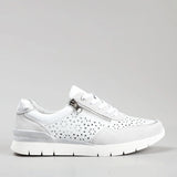 white lt grey