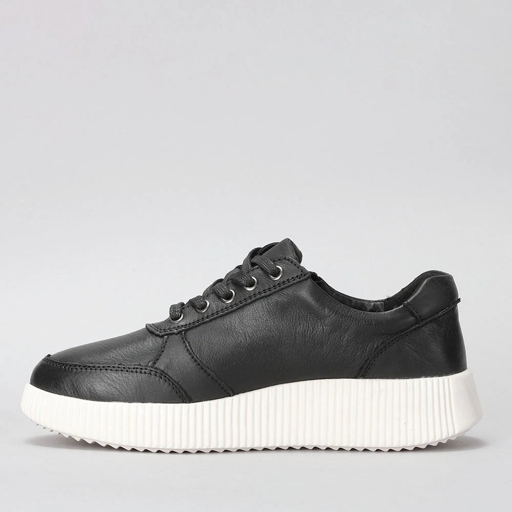 LE SANSA COSCO BLACK - Women sneakers - Collective Shoes 