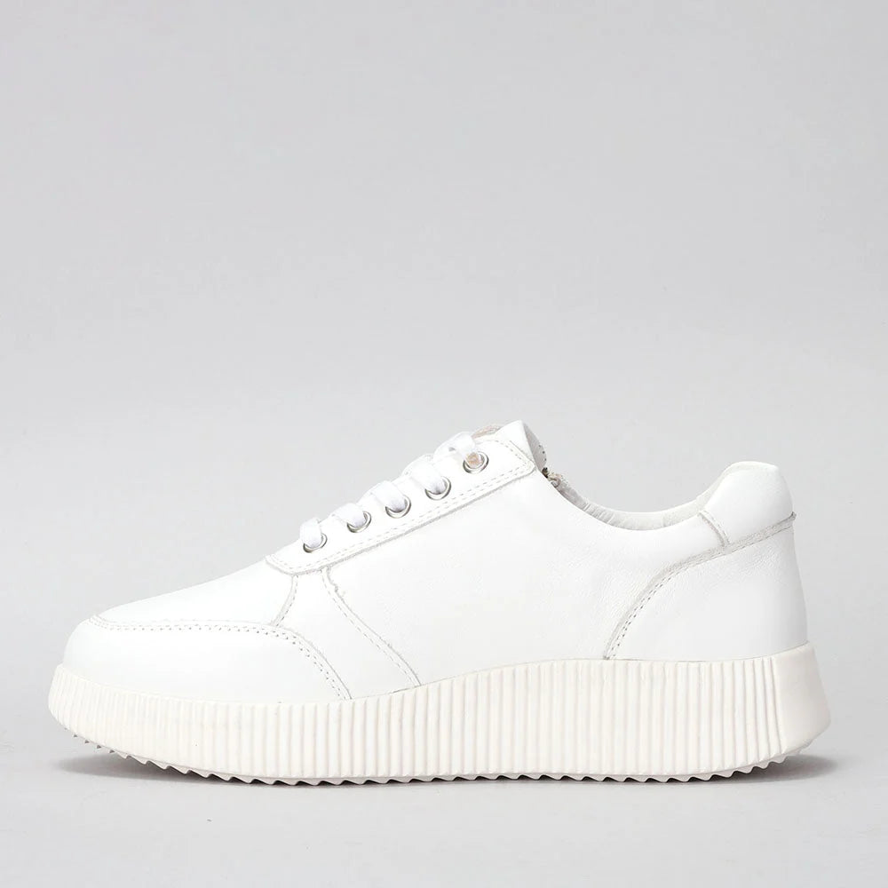 LE SANSA COSCO WHITE - Women sneakers - Collective Shoes 
