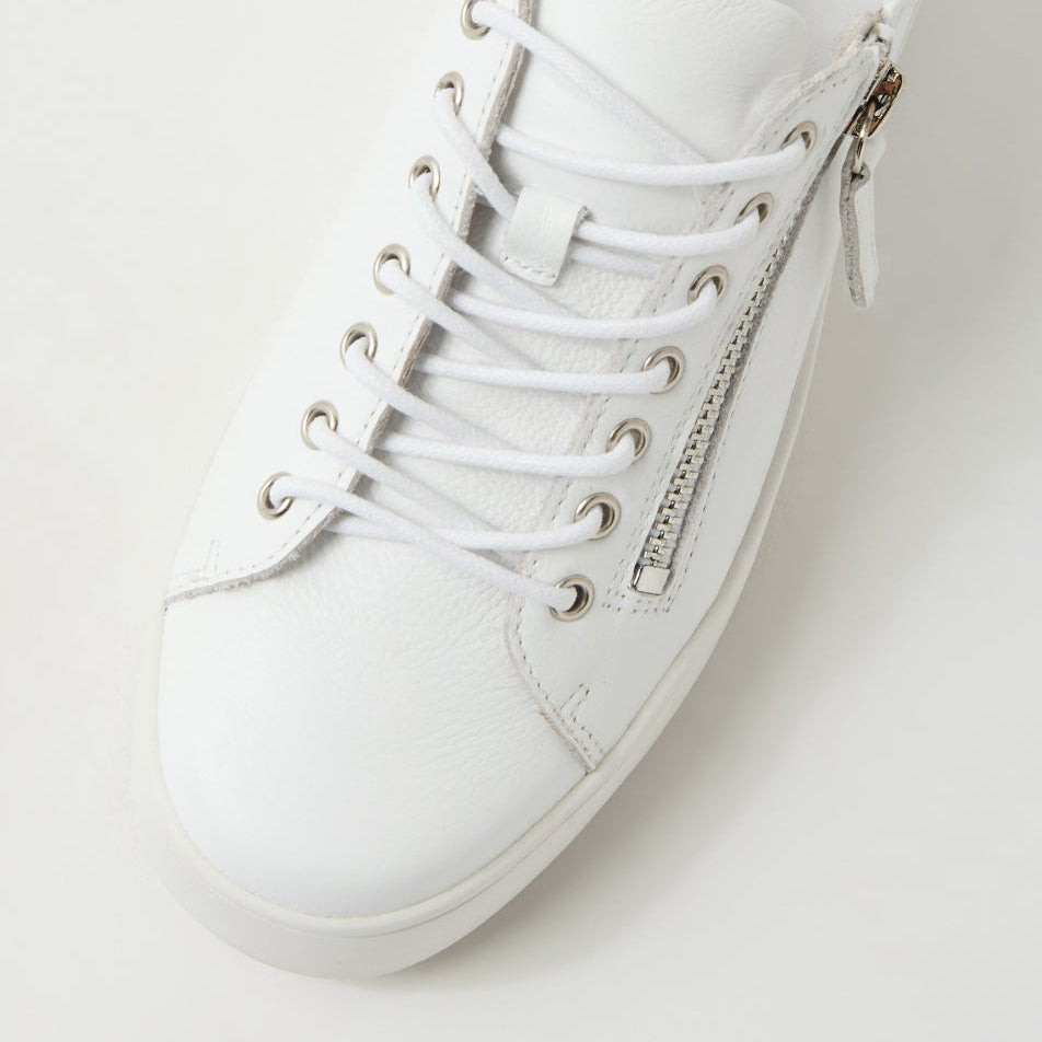 DJANGO & JULIETTE LAILA WHITE - Women Sneakers - Collective Shoes 