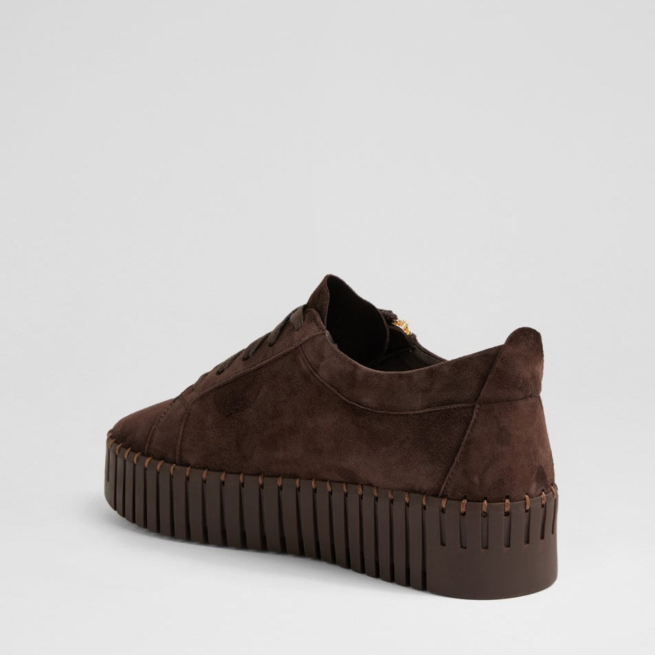 DJANGO & JULIETTE BUMP CHOCO SUEDE - Women sneakers - Collective Shoes 