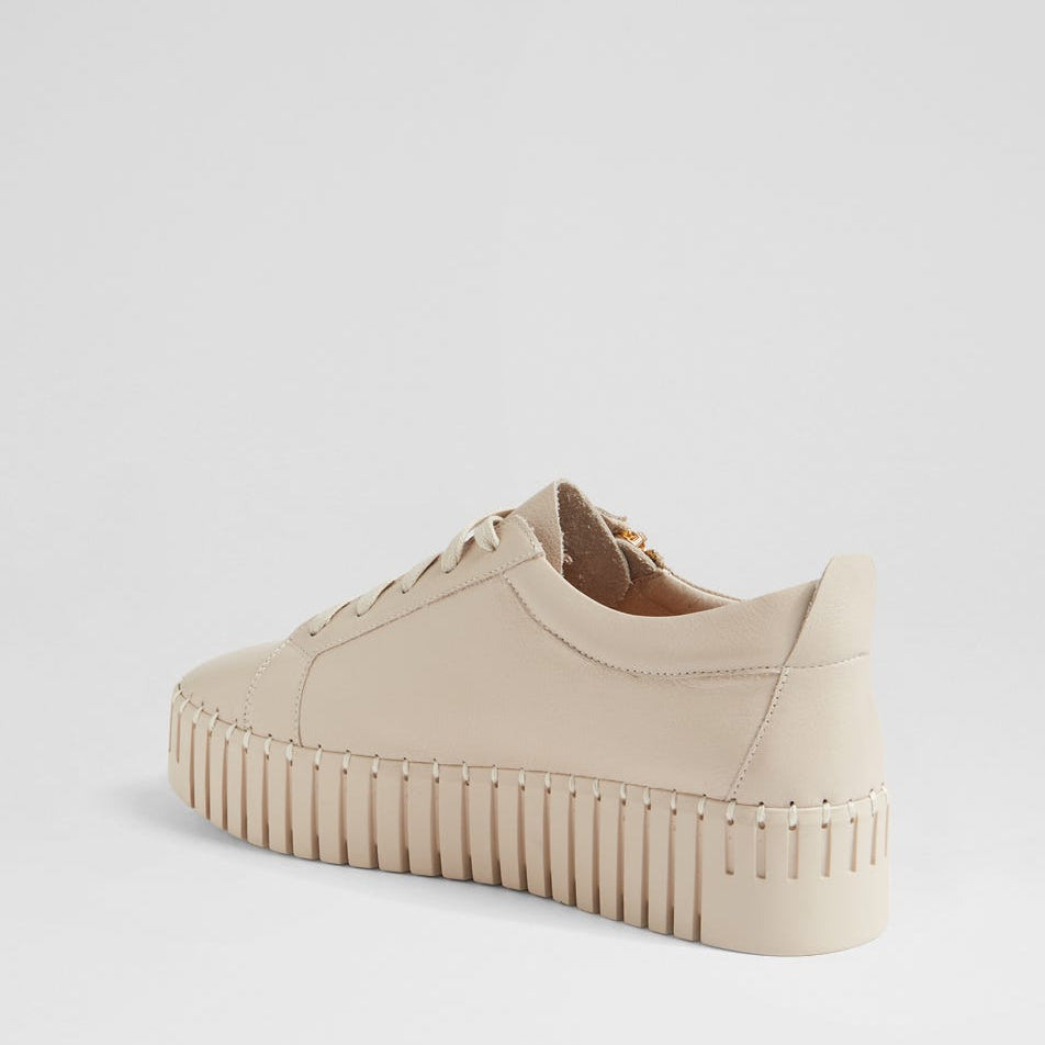 DJANGO & JULIETTE BUMP ALMOND - Women sneakers - Collective Shoes 