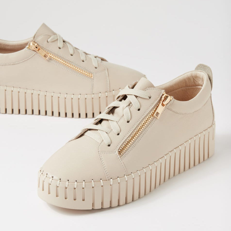 DJANGO & JULIETTE BUMP ALMOND - Women sneakers - Collective Shoes 