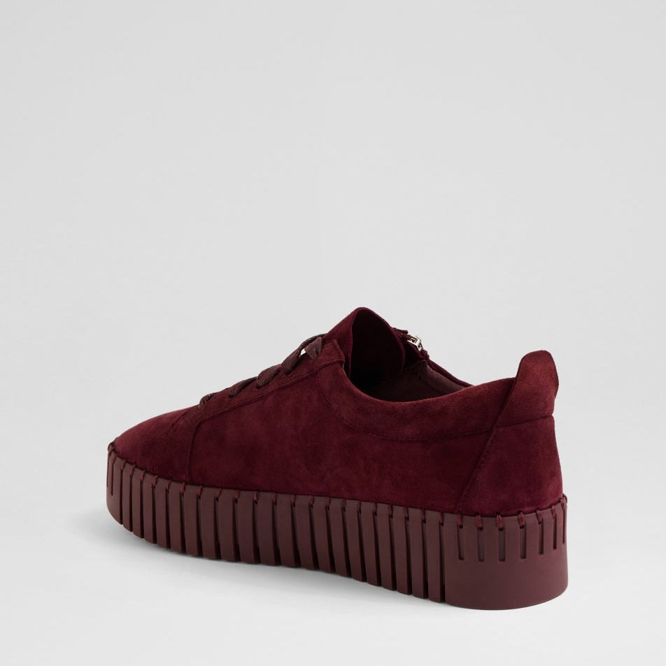 DJANGO & JULIETTE BUMP BURGUNDY SUEDE - Women sneakers - Collective Shoes 