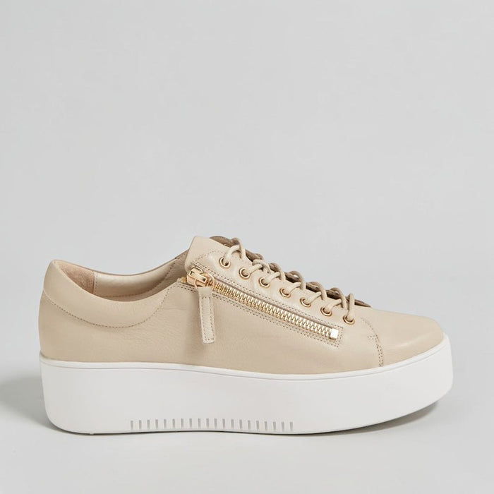 DJANGO & JULIETTE WOLFIE ALMOND - Women sneakers - Collective Shoes 
