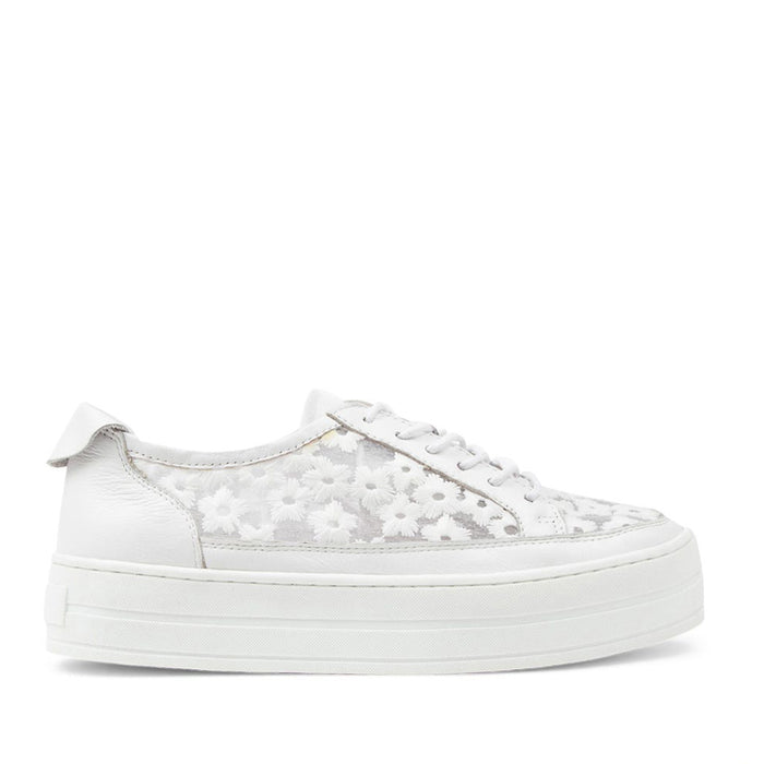 DJANGO & JULIETTE SERENOS WHITE - Women Sneakers - Collective Shoes 
