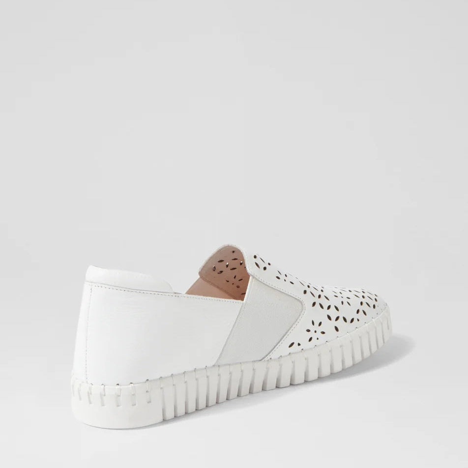 DJANGO & JULIETTE HAREL WHITE - Women Sneakers - Collective Shoes 