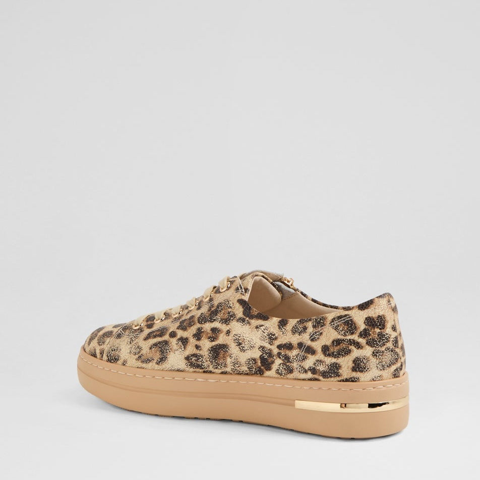 DJANGO & JULIETTE WOVI LATTE MET - Women Sneakers - Collective Shoes 