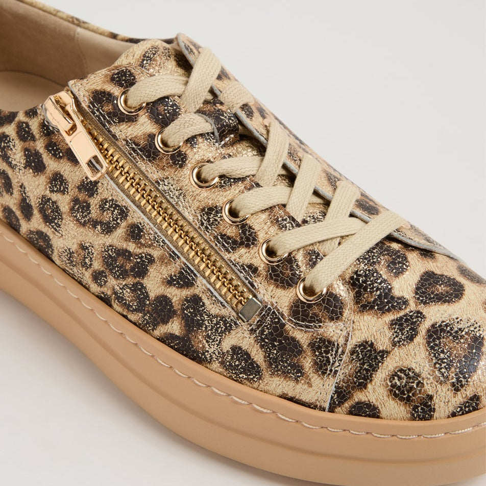 DJANGO & JULIETTE WOVI LATTE MET - Women Sneakers - Collective Shoes 