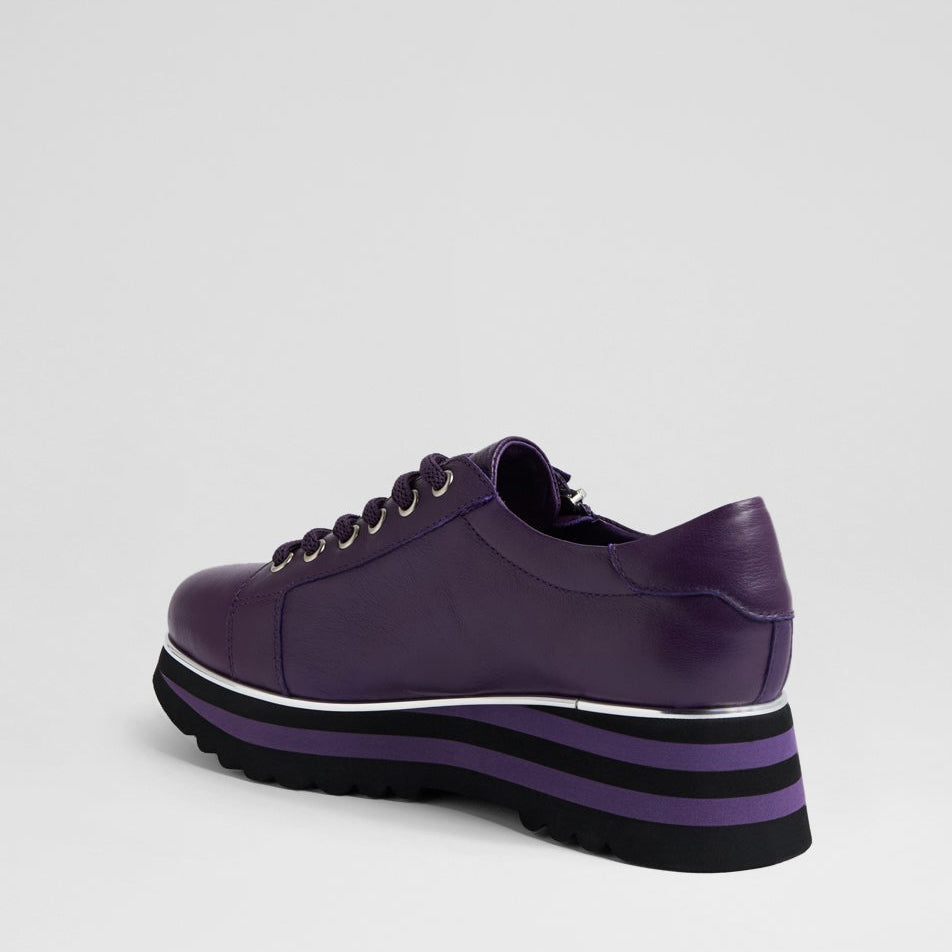 DJANGO & JULIETTE EAMMES PURPLE - BLACK - Women Sneakers - Collective Shoes 