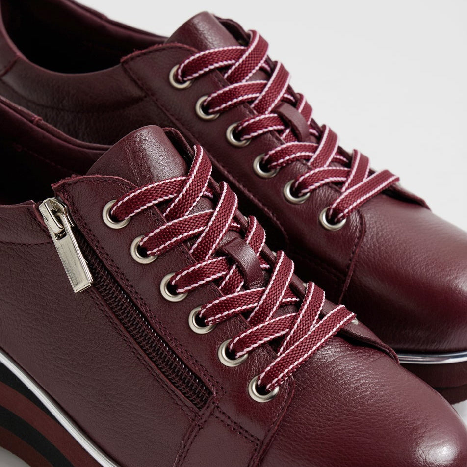 DJANGO & JULIETTE EAMMES BURGUNDY - Women Sneakers - Collective Shoes 