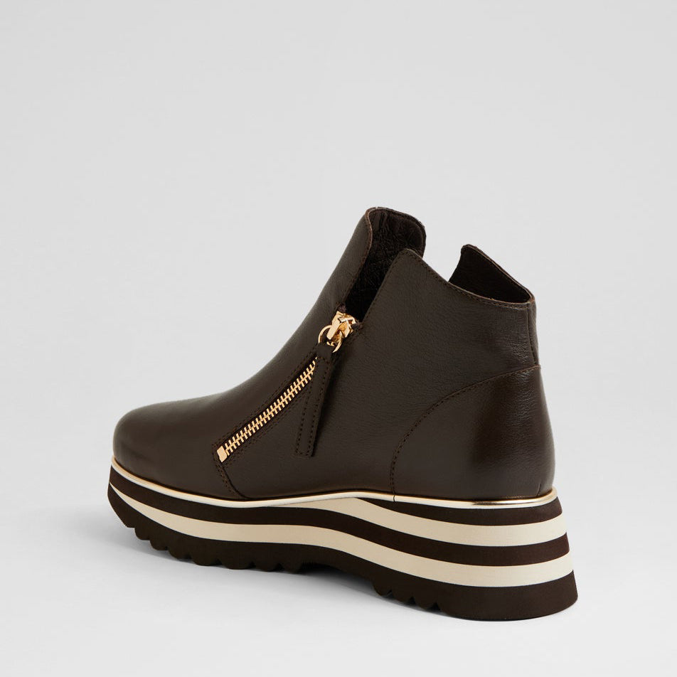 DJANGO & JULIETTE EVOL CHOCO - Women Boots - Collective Shoes 