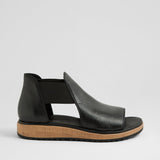 Black Black Sole