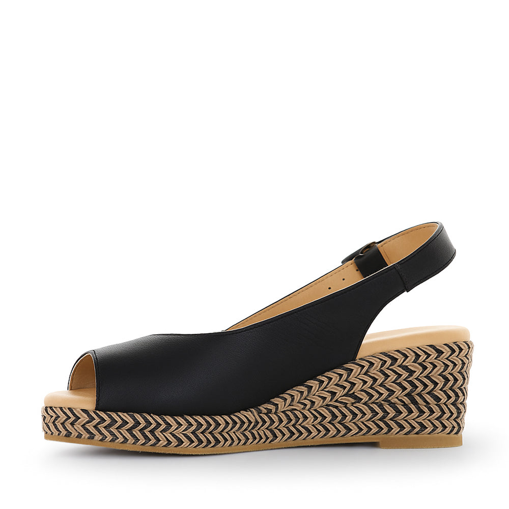 LE SANSA DOVE BLACK