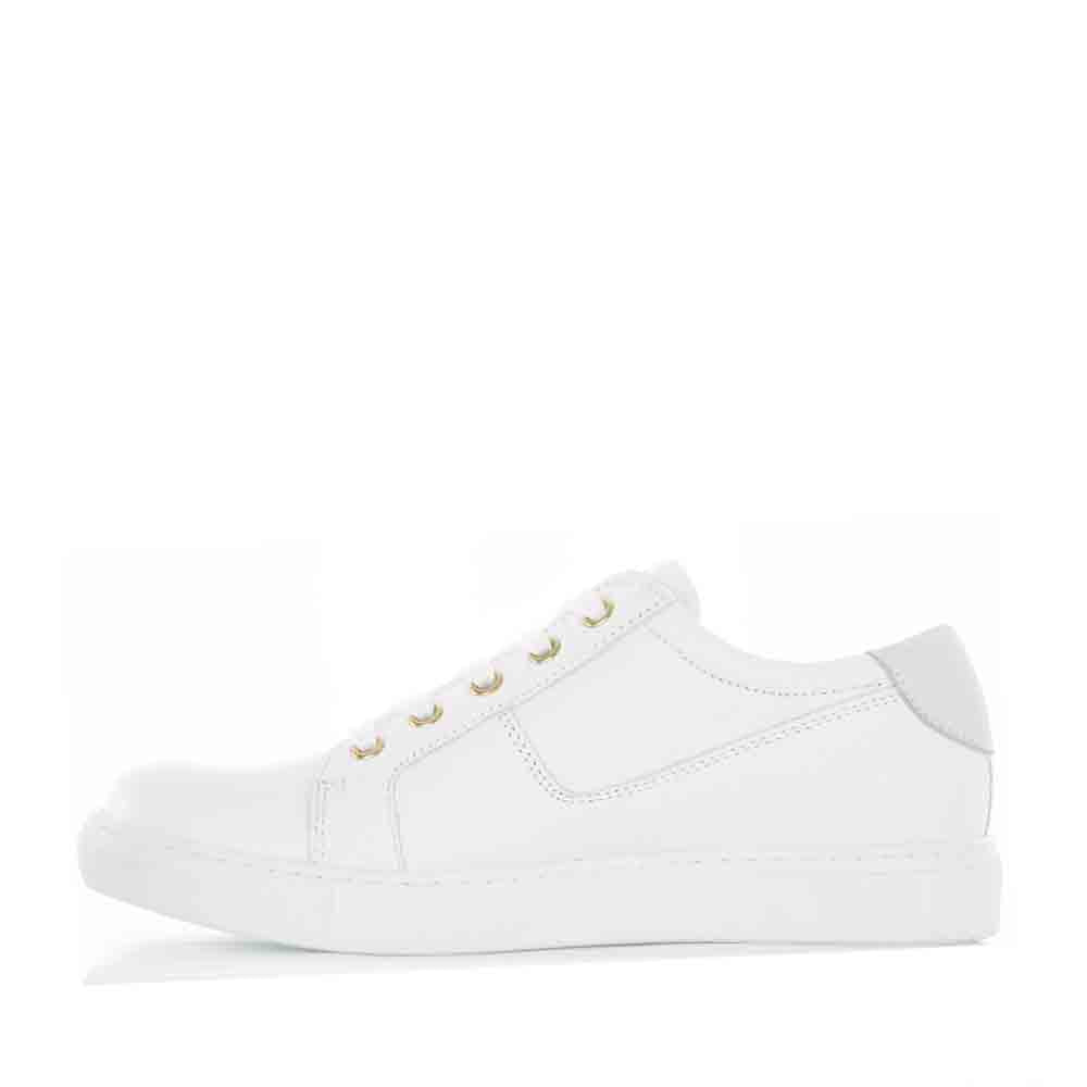 CABELLO EG520 WHITE - Women sneakers - Collective Shoes 