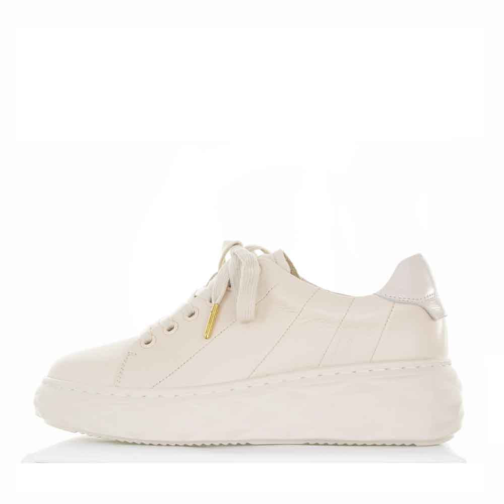 GELATO JESPER EGRET - Women sneakers - Collective Shoes 