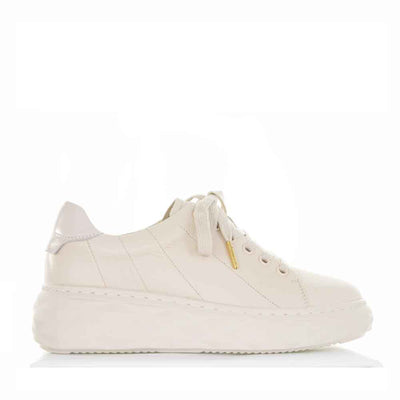 GELATO JESPER EGRET - Women sneakers - Collective Shoes 