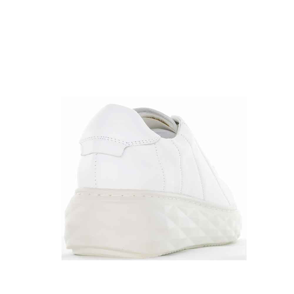 GELATO JESPER WHITE - Women sneakers - Collective Shoes 