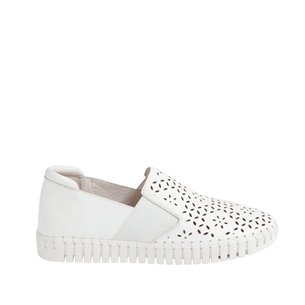 DJANGO & JULIETTE HAREL WHITE - Women Sneakers - Collective Shoes 
