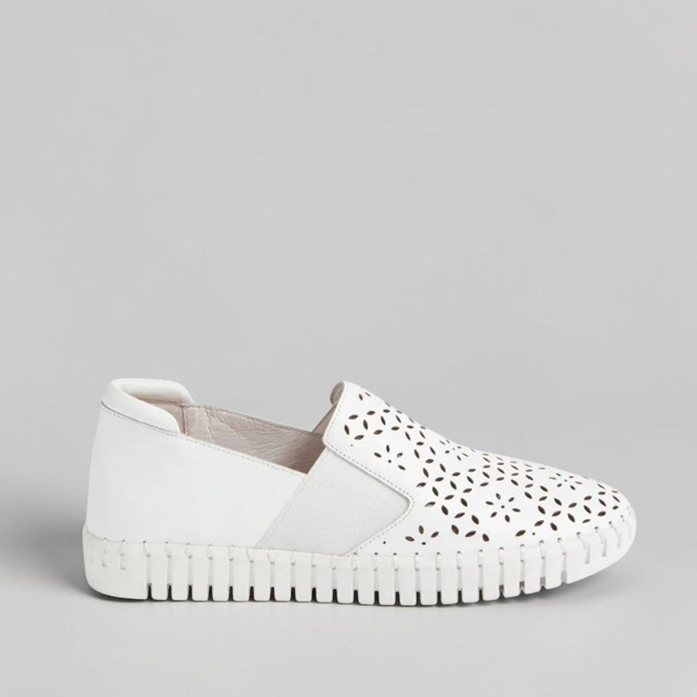 DJANGO & JULIETTE HAREL WHITE - Women Sneakers - Collective Shoes 
